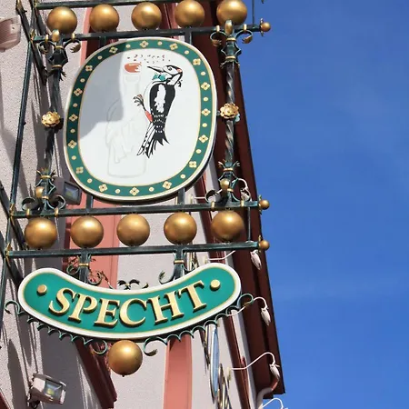 Specht By Trotmannia Dortmund
