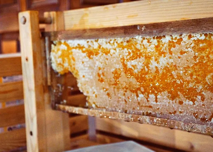 Hotel Specht By Trotmannia Dortmund