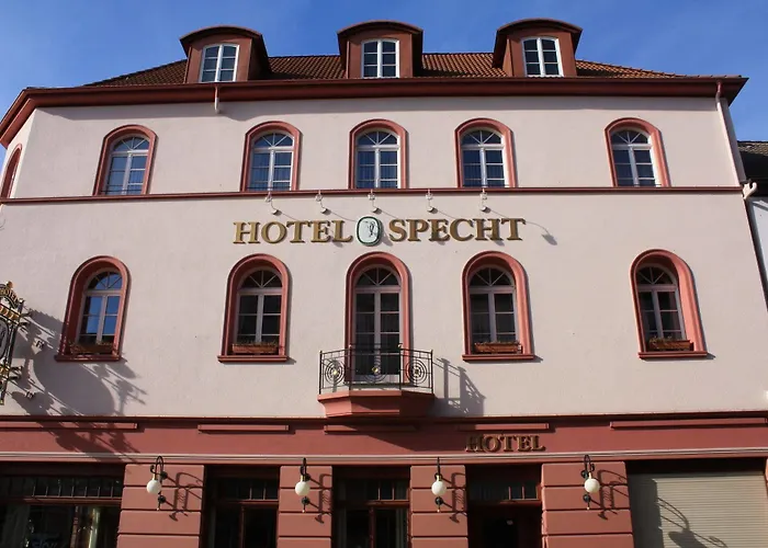 Specht By Trotmannia Dortmund