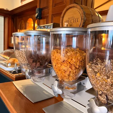 Specht By Trotmannia 3* Dortmund