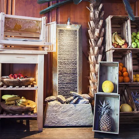 Specht By Trotmannia 多特蒙德