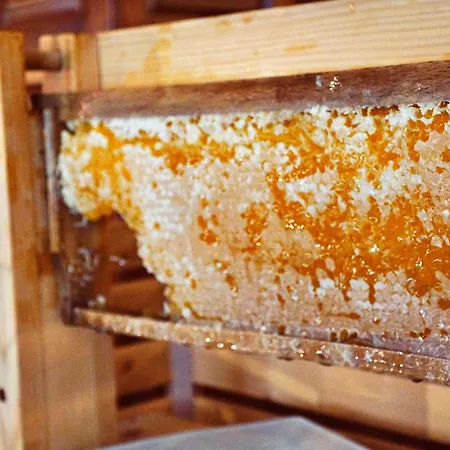 酒店 Specht By Trotmannia 多特蒙德