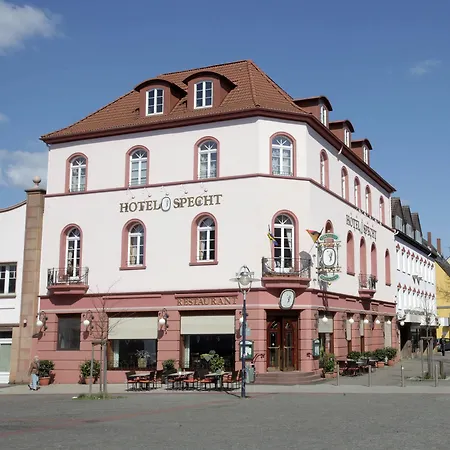 Specht By Trotmannia 3*