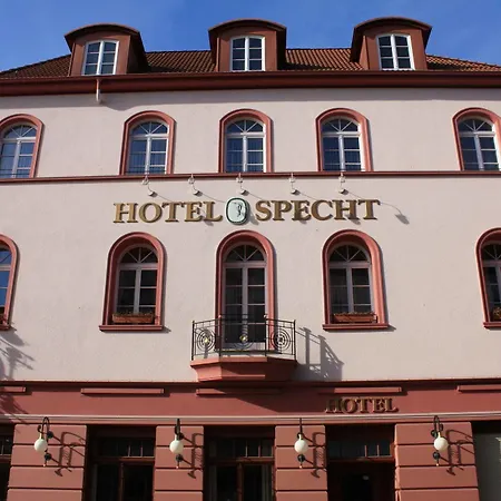 Specht By Trotmannia Dortmund